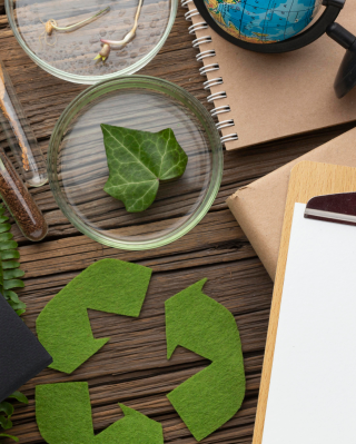 Sustainable Startup Image